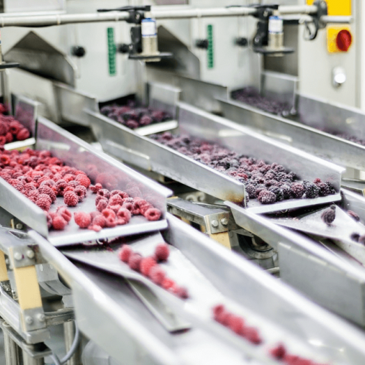 Food and beverage processing